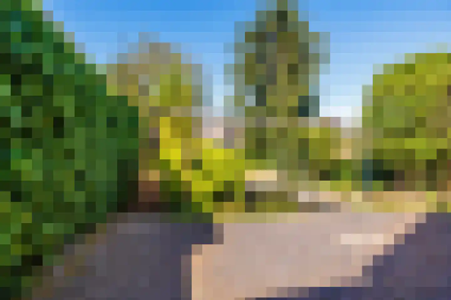 Leemweg 14 Wijchen thumbnail 34
