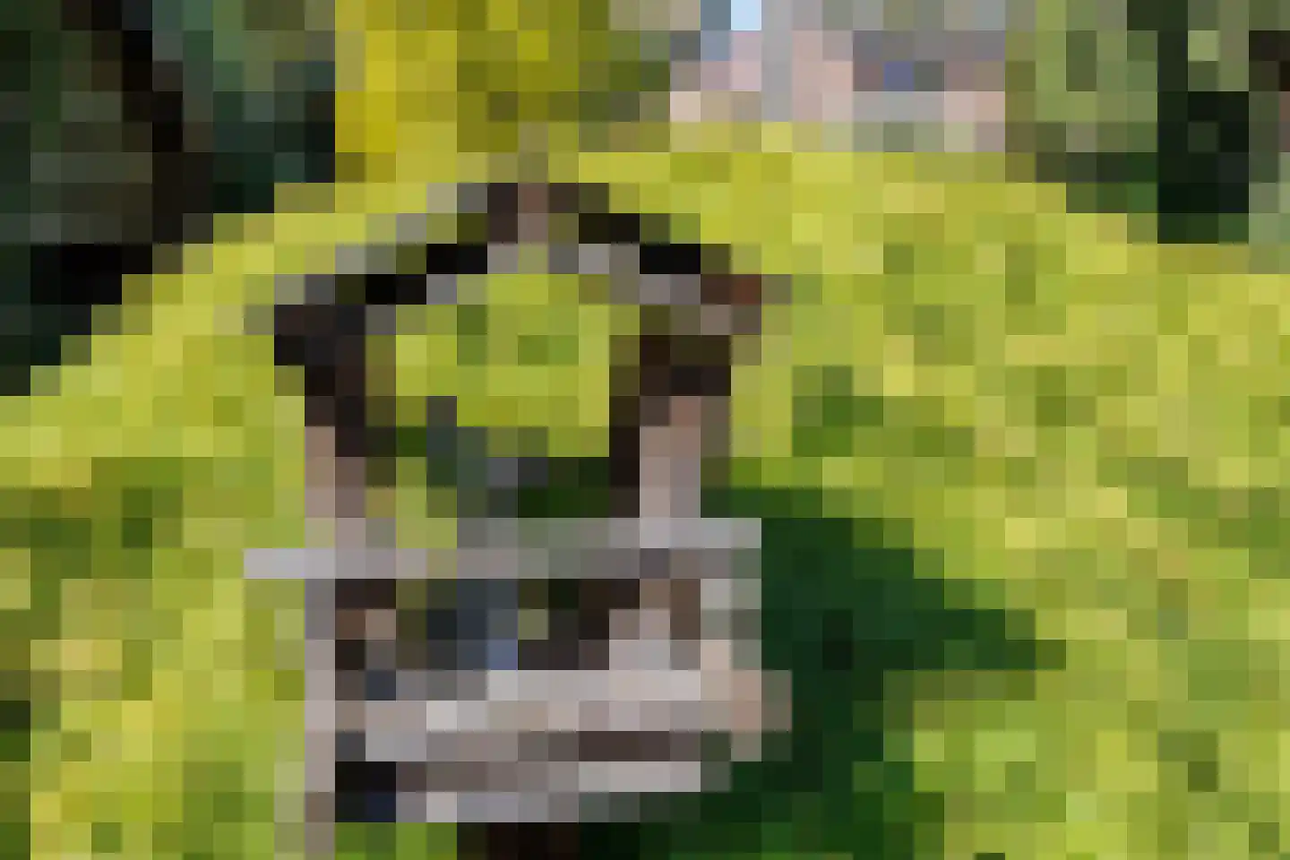 Leemweg 14 Wijchen thumbnail 37