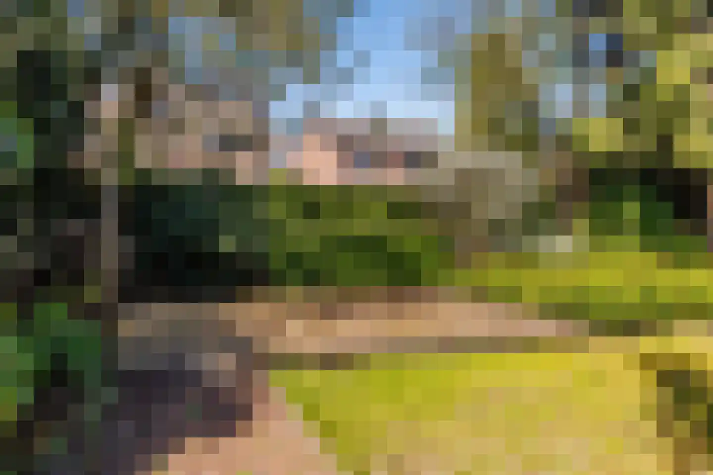 Leemweg 14 Wijchen thumbnail 38