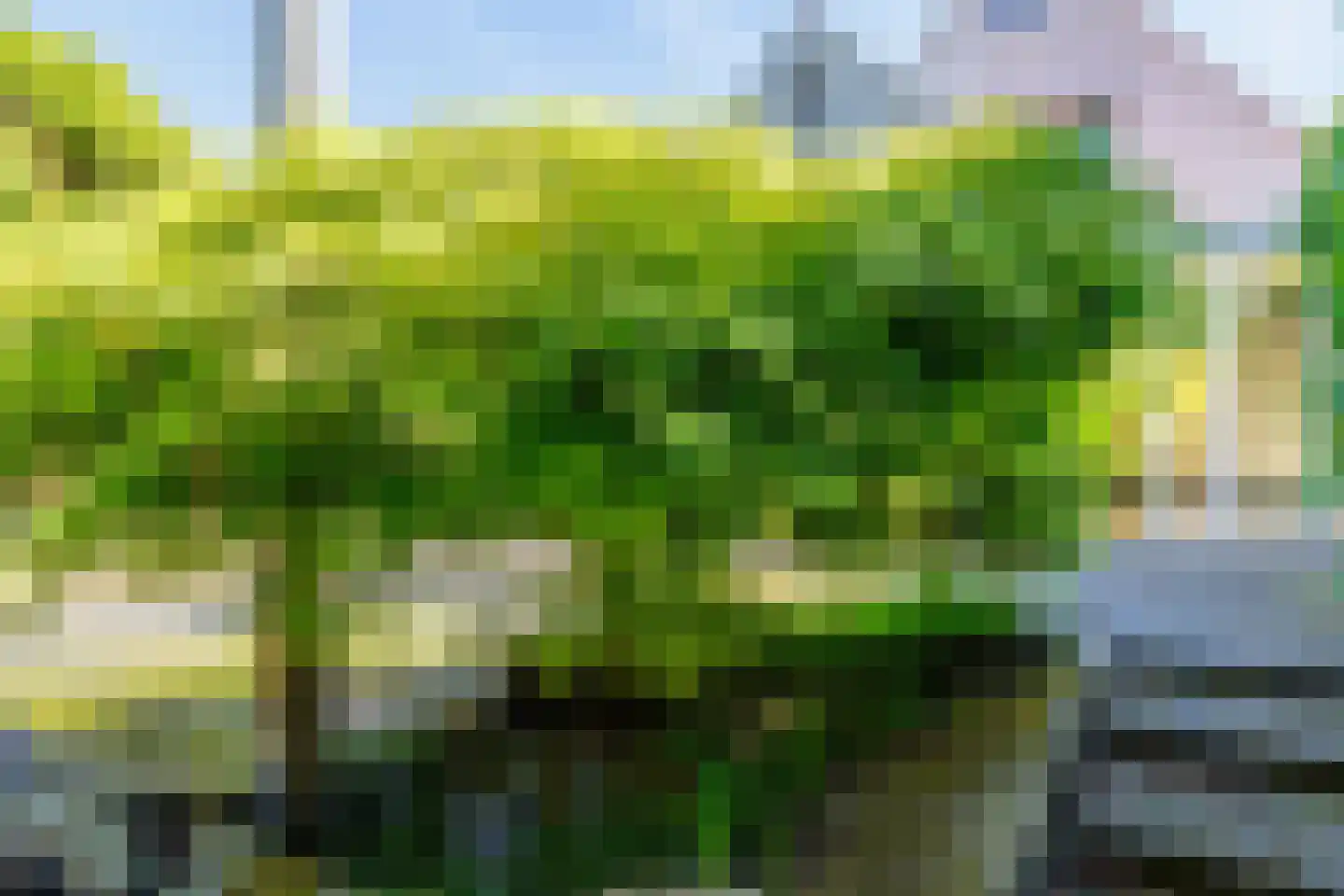 Leemweg 14 Wijchen thumbnail 41