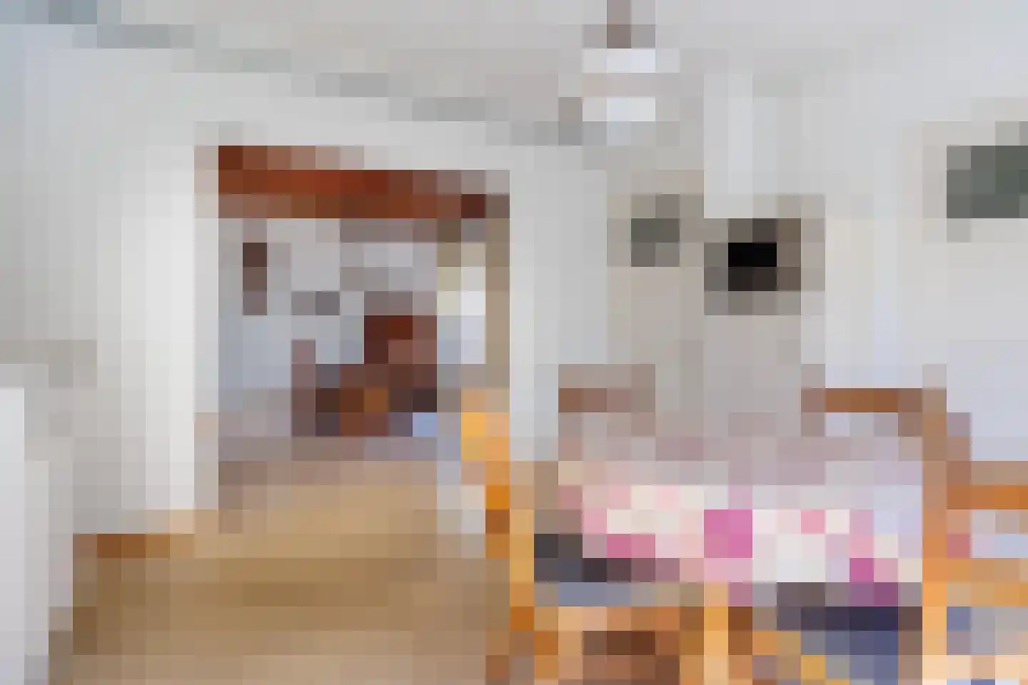Leemweg 14 Wijchen thumbnail 9
