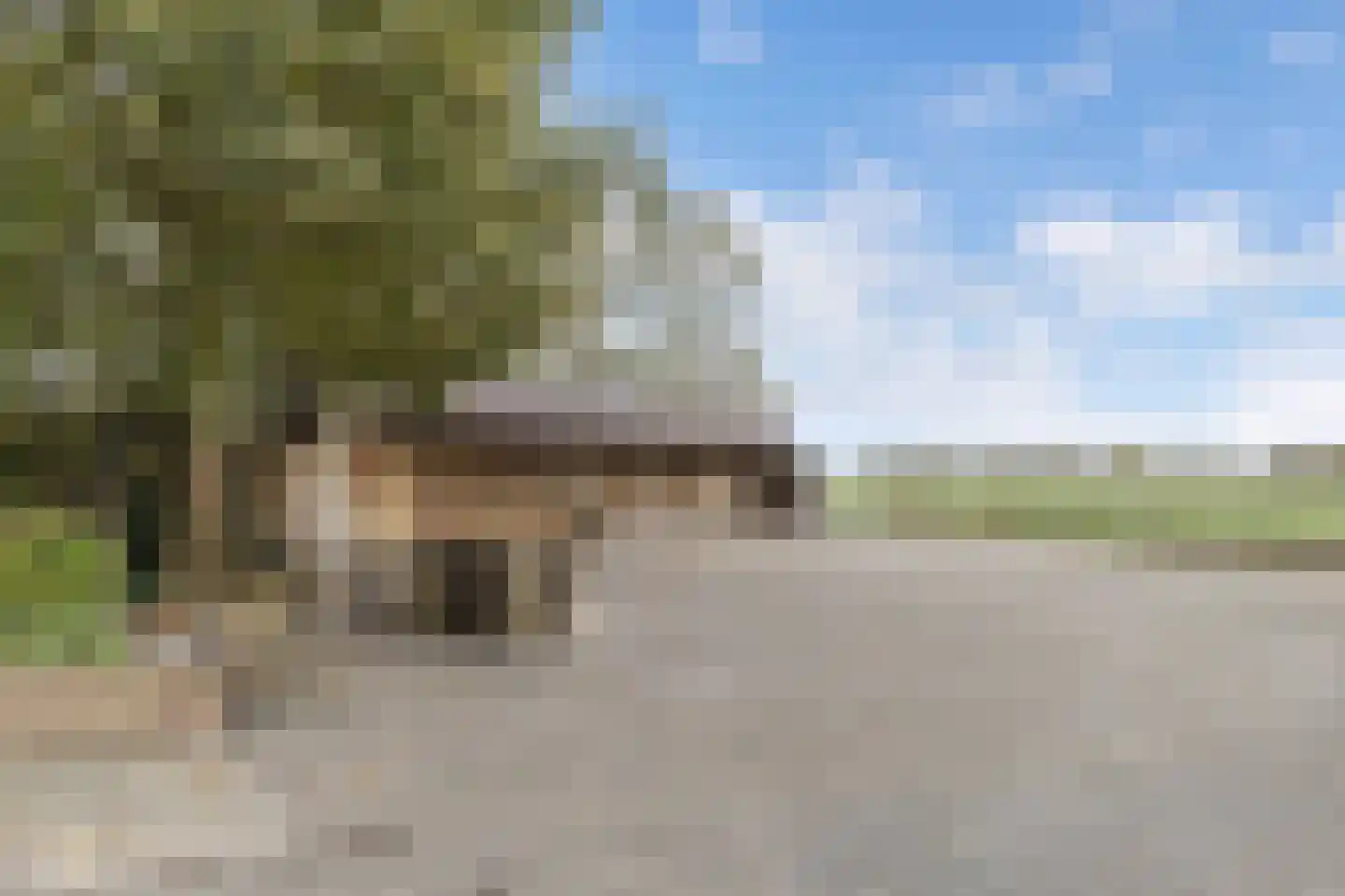 Leemweg 21 Steggerda thumbnail 37