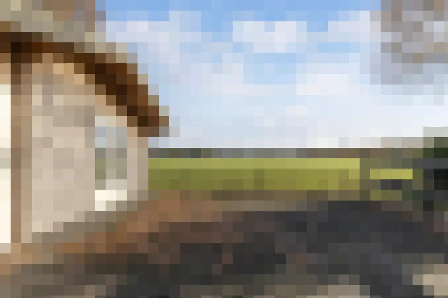 Leemweg 21 Steggerda thumbnail 46