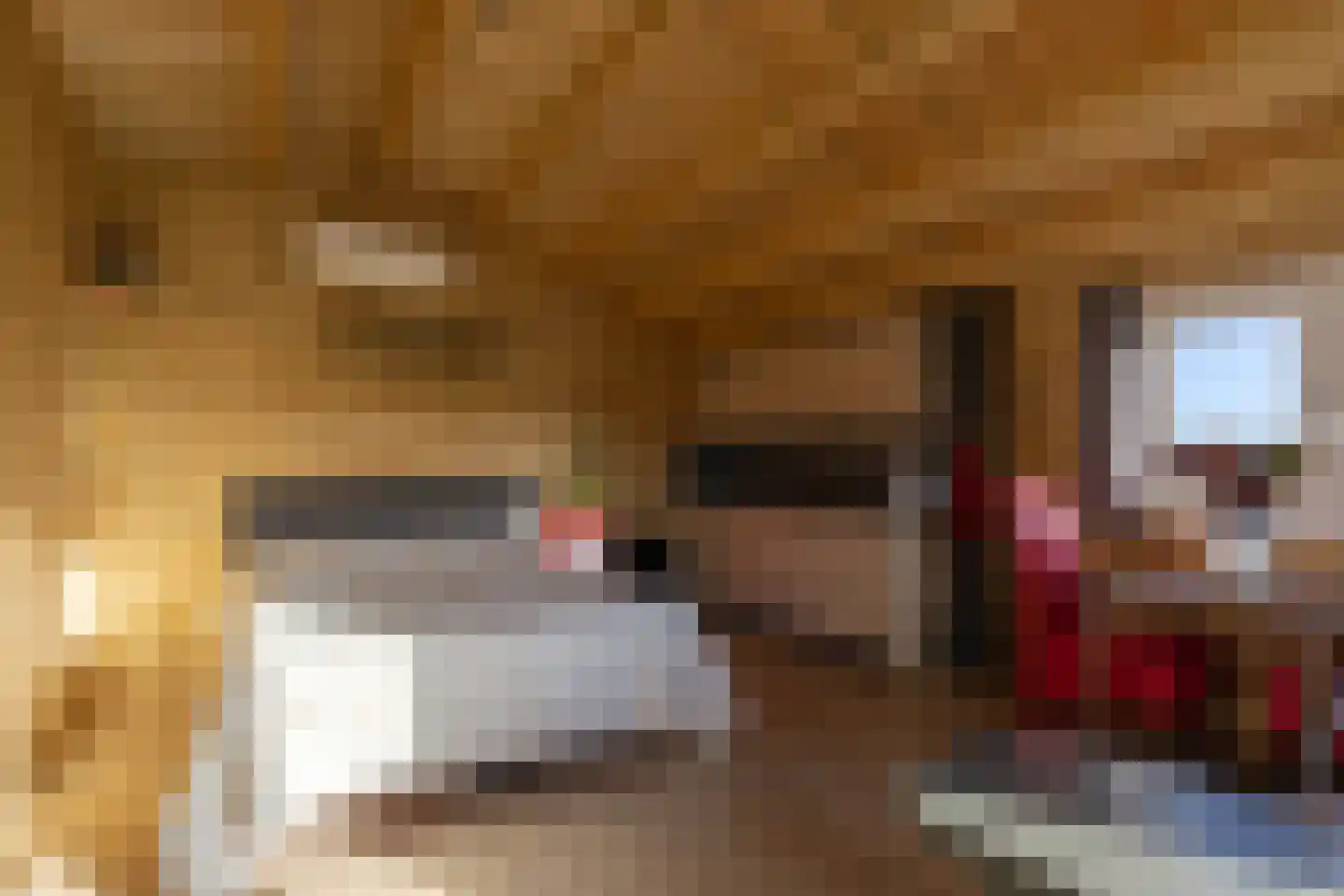Leemweg 21 Steggerda thumbnail 48