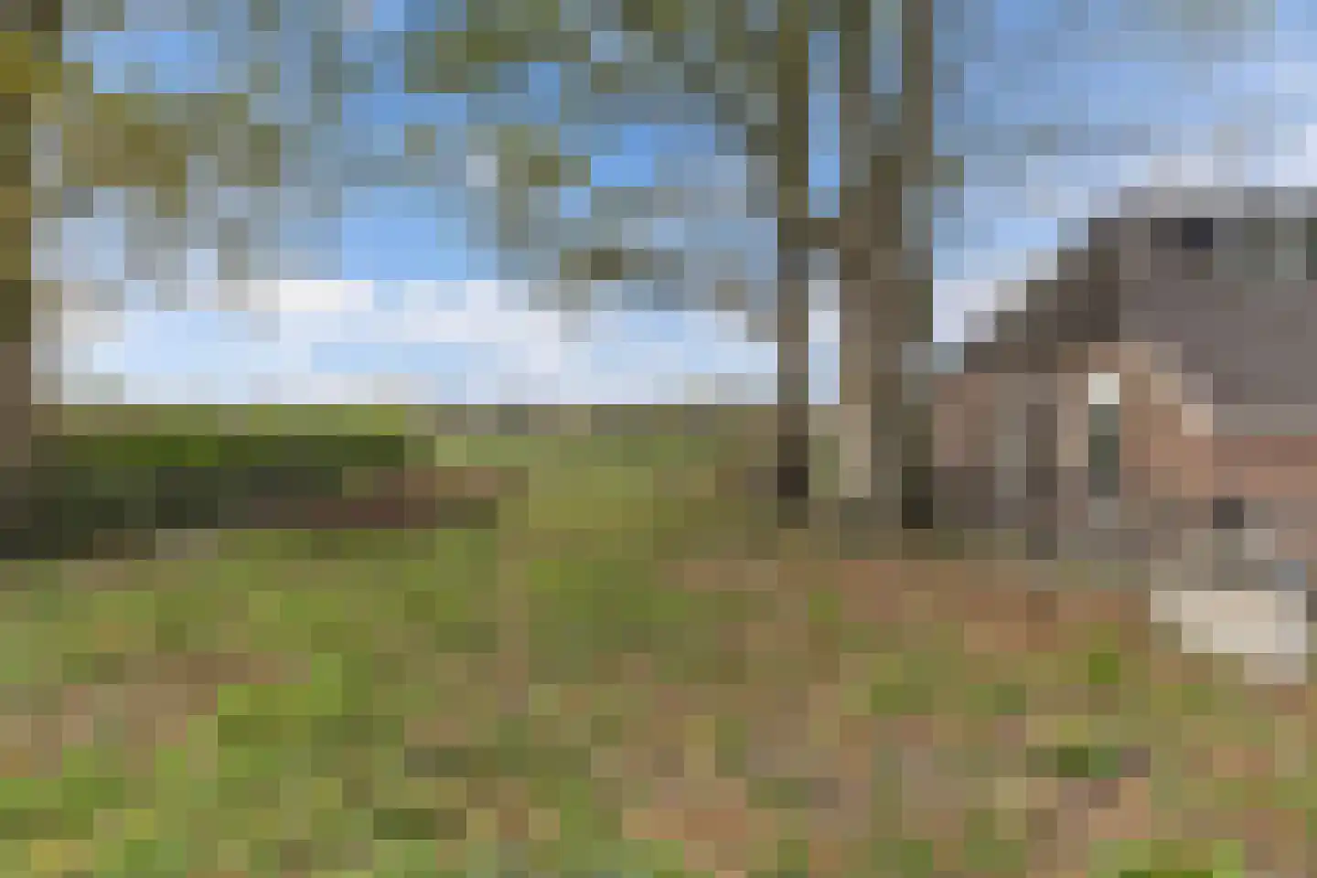 Leemweg 21 Steggerda thumbnail 54