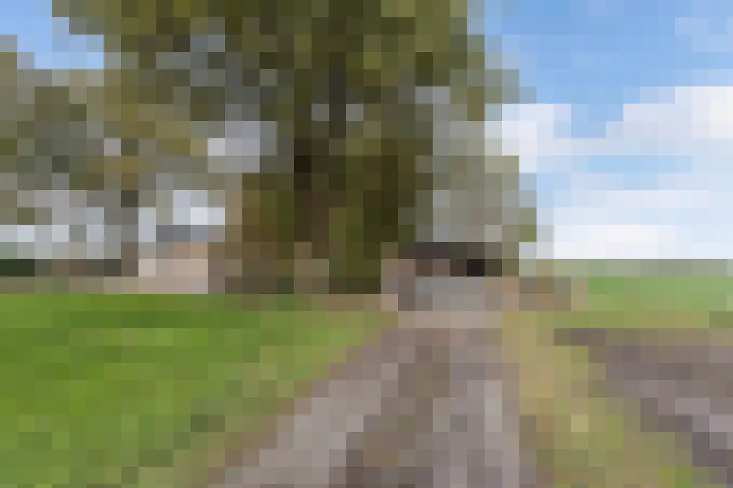 Leemweg 21 Steggerda thumbnail 57