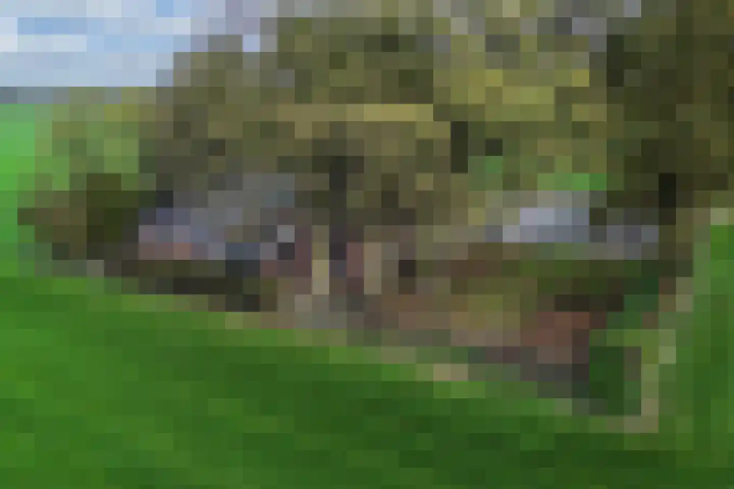 Leemweg 21 Steggerda thumbnail 61