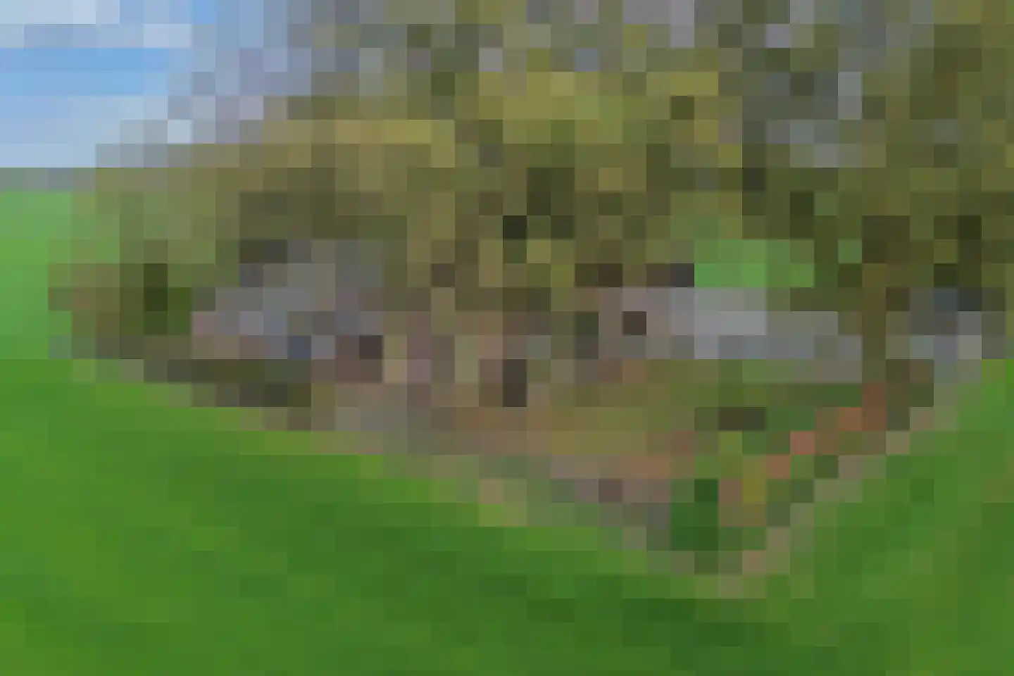 Leemweg 21 Steggerda thumbnail 62