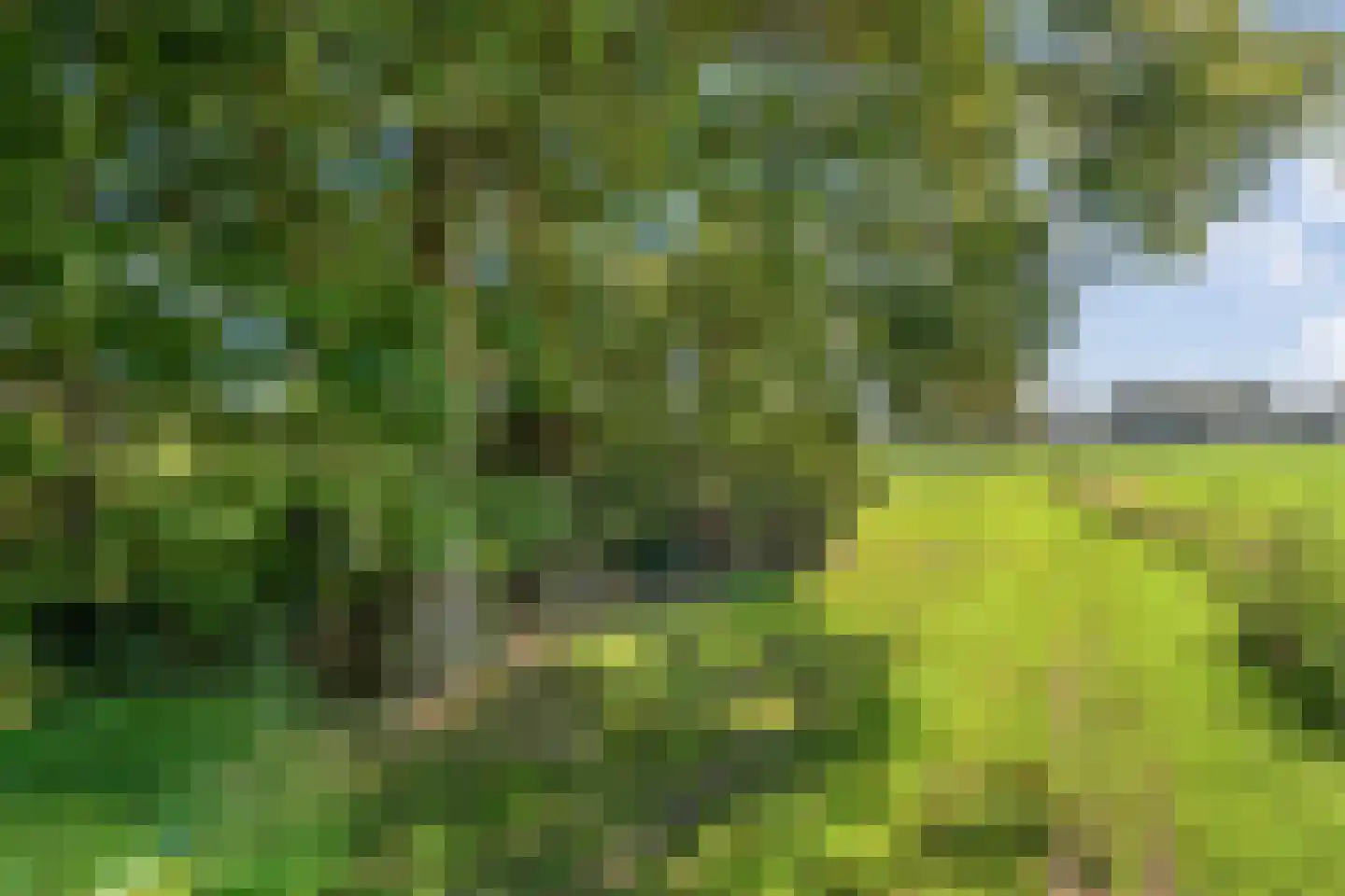 Leemweg 25 Steggerda thumbnail 10
