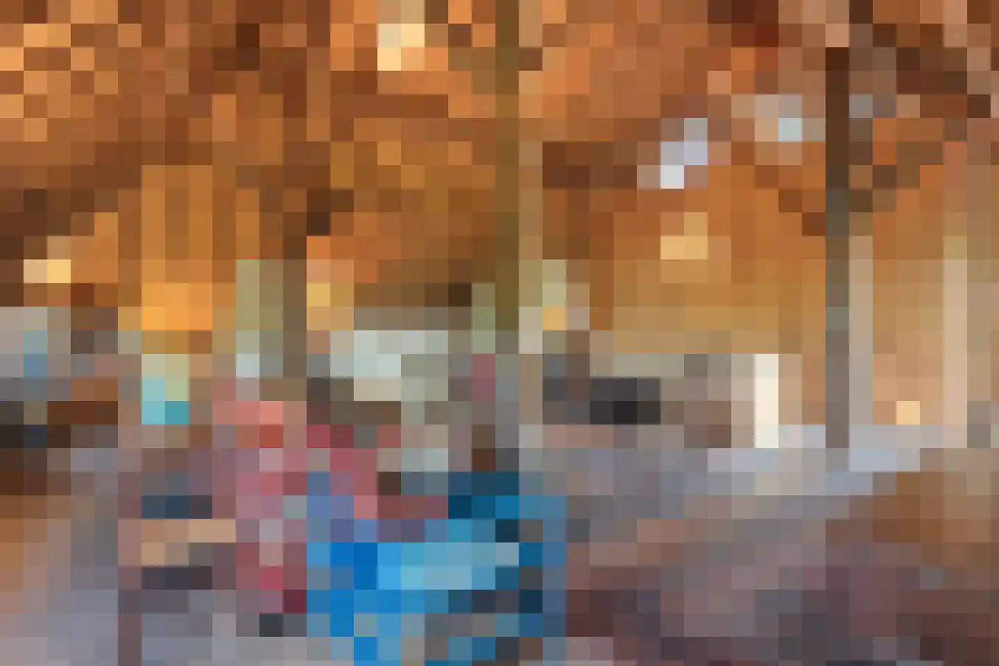 Leemweg 25 Steggerda thumbnail 17