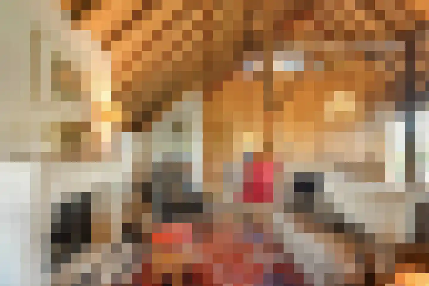 Leemweg 25 Steggerda thumbnail 19