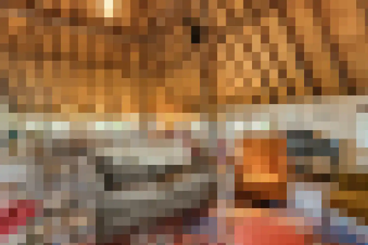Leemweg 25 Steggerda thumbnail 21