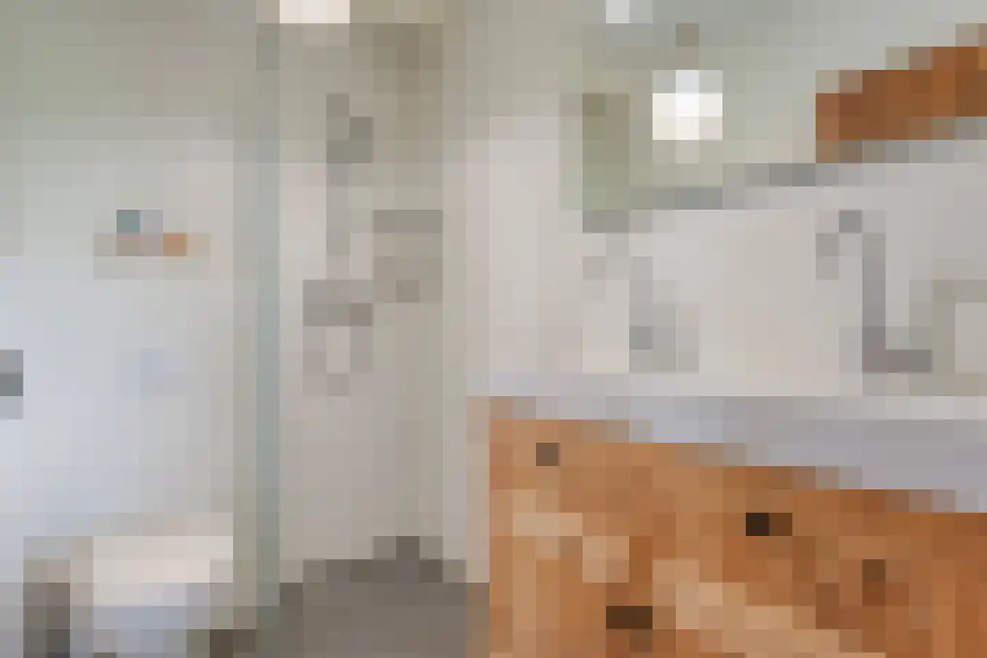 Leemweg 25 Steggerda thumbnail 33