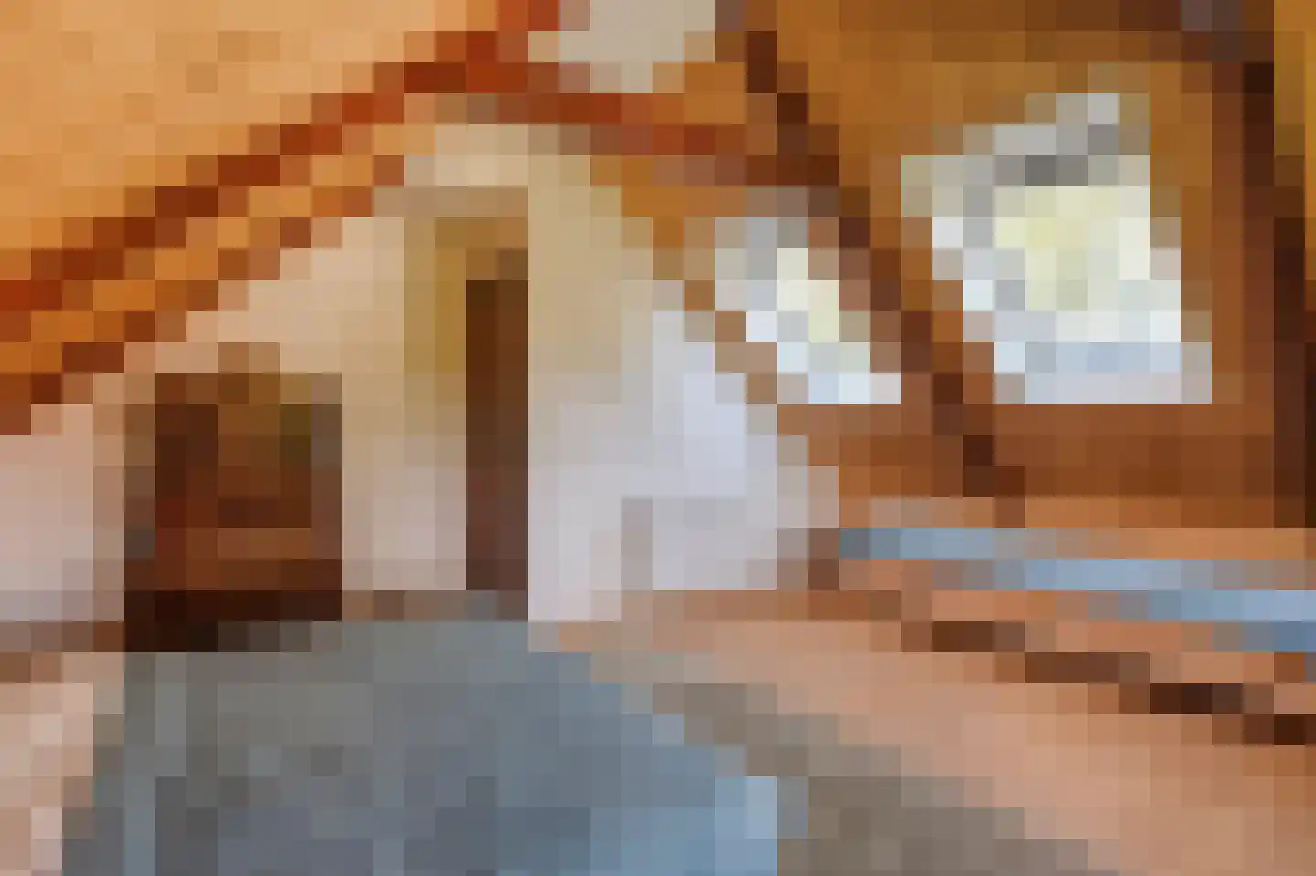 Leemweg 25 Steggerda thumbnail 35