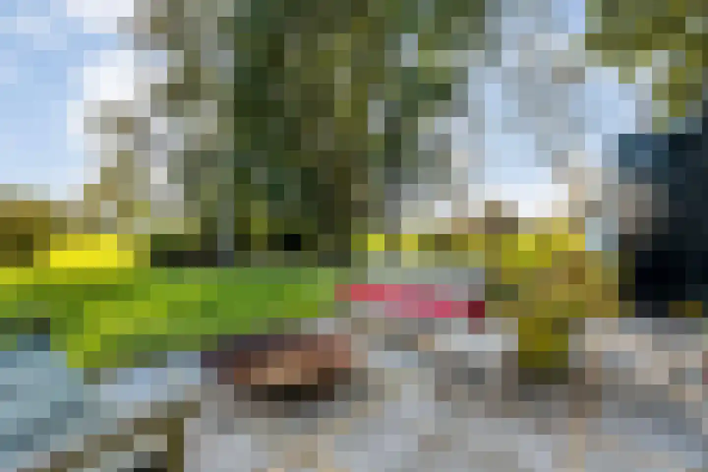 Leemweg 25 Steggerda thumbnail 42