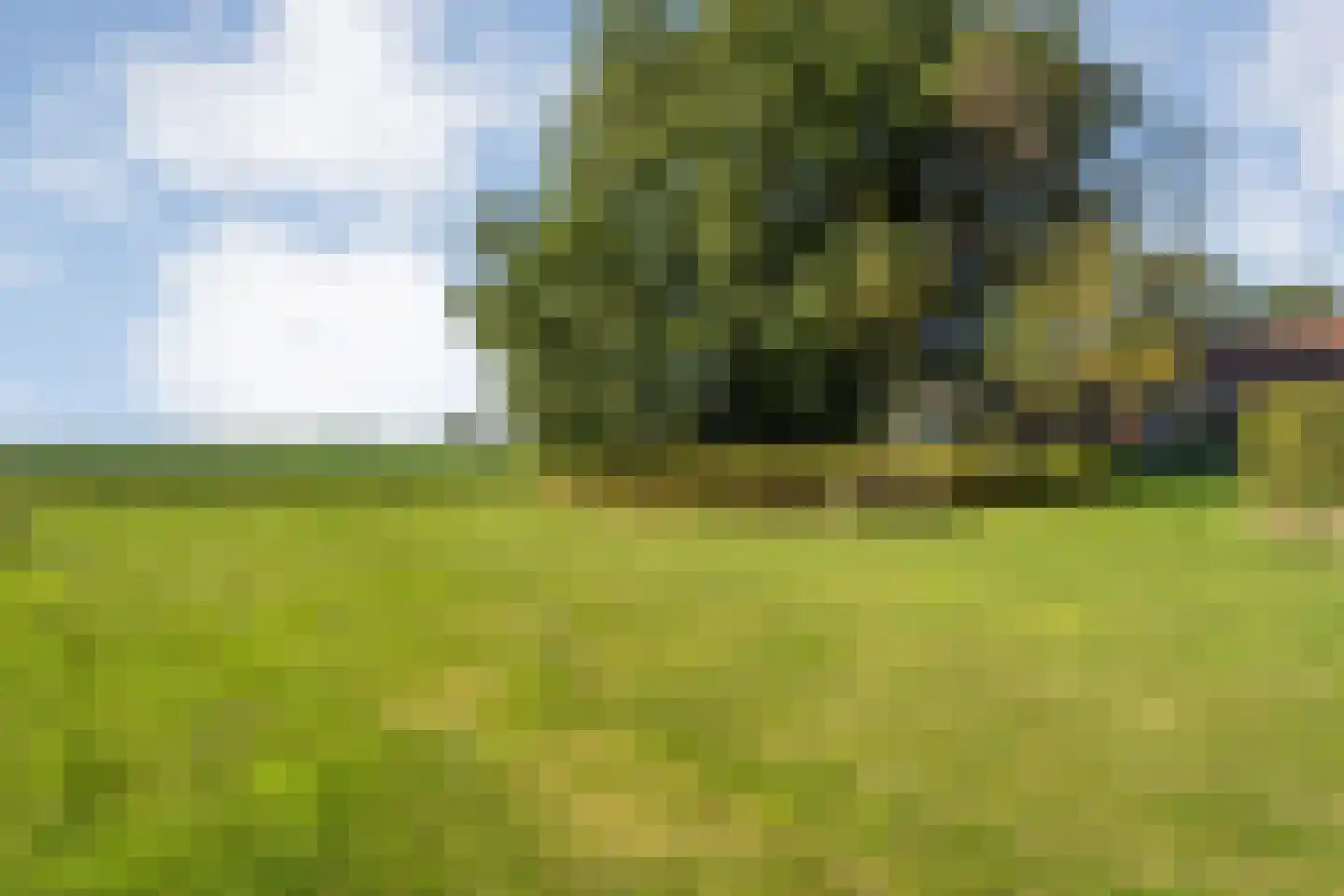 Leemweg 25 Steggerda thumbnail 45