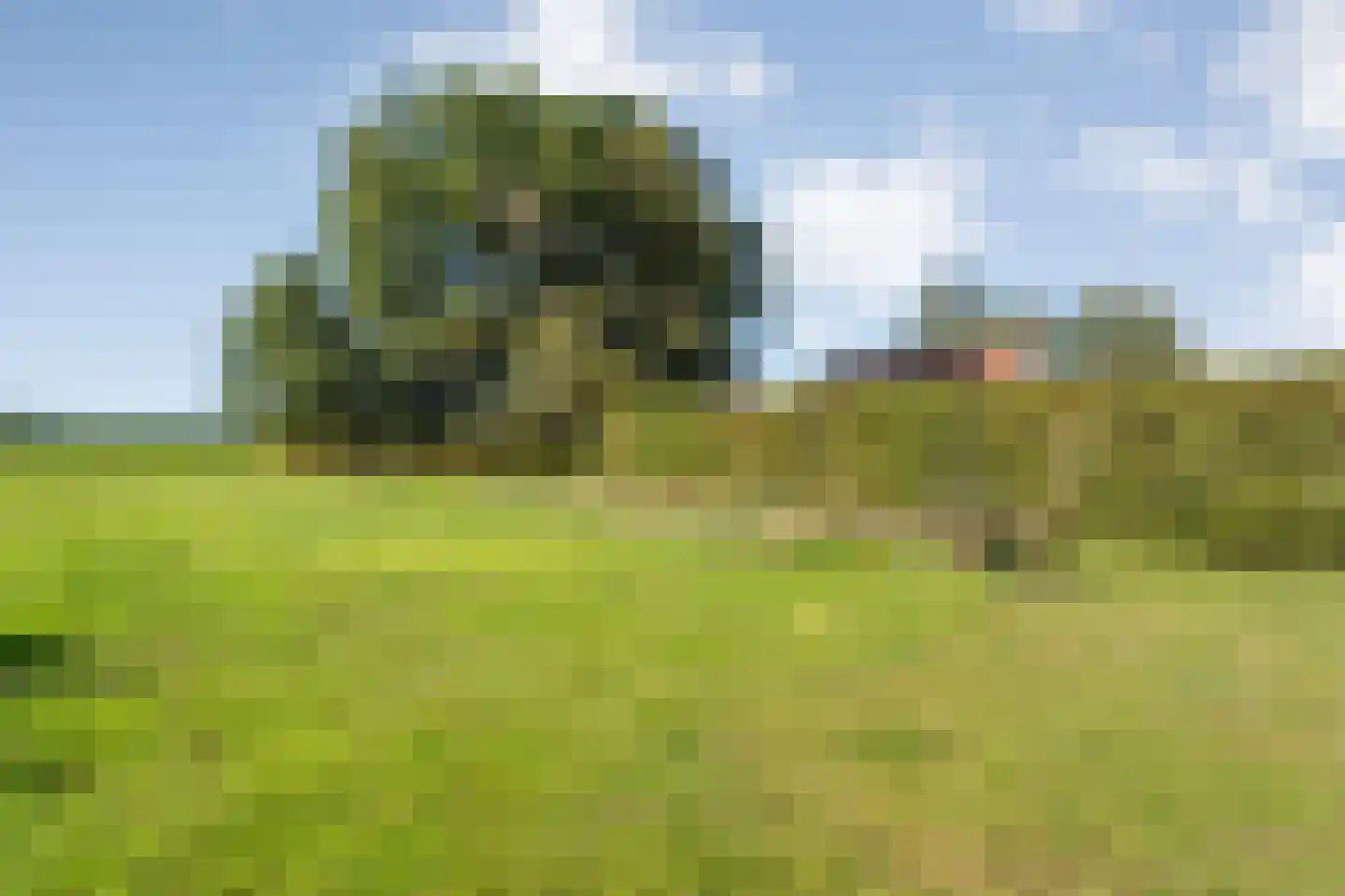 Leemweg 25 Steggerda thumbnail 46