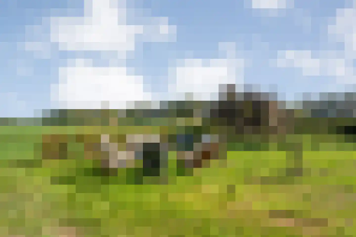 Leemweg 25 Steggerda thumbnail 49