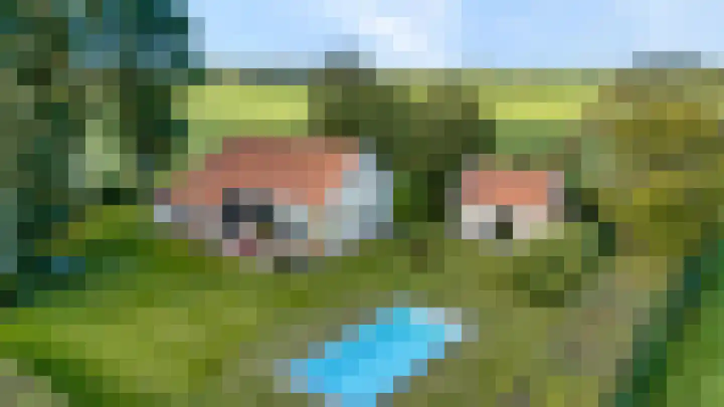 Leemweg 25 Steggerda thumbnail 5