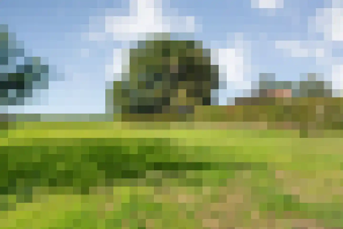 Leemweg 25 Steggerda thumbnail 51