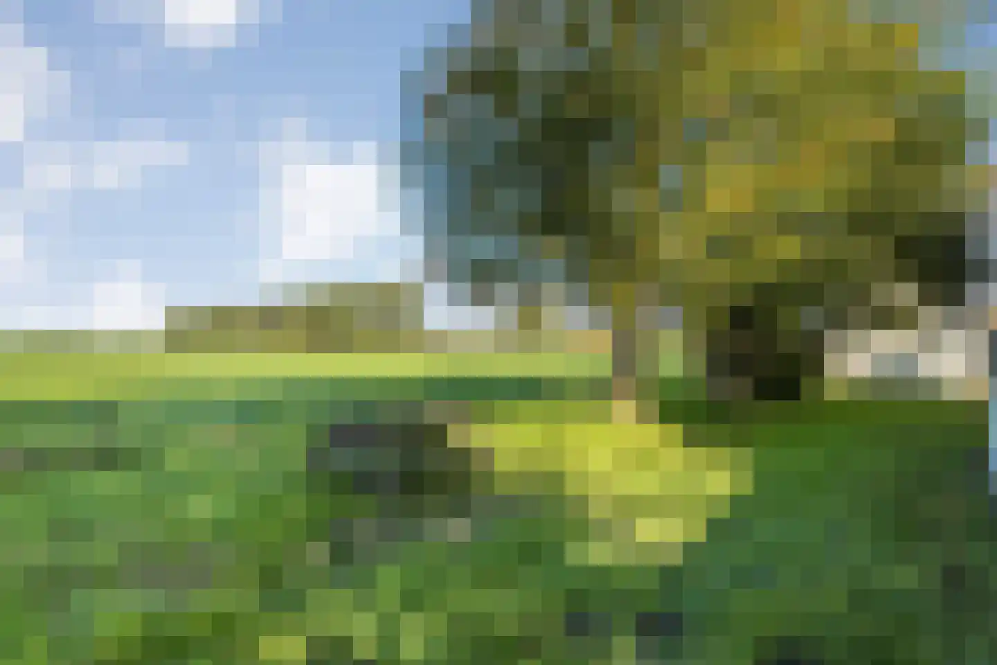 Leemweg 25 Steggerda thumbnail 52