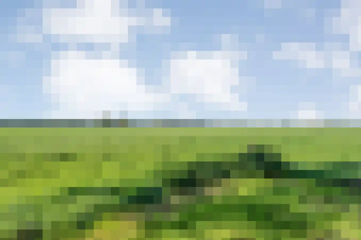 Leemweg 25 Steggerda thumbnail 53