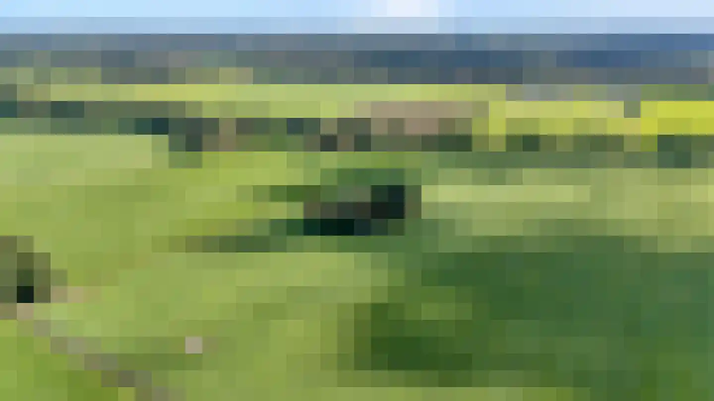 Leemweg 25 Steggerda thumbnail 63