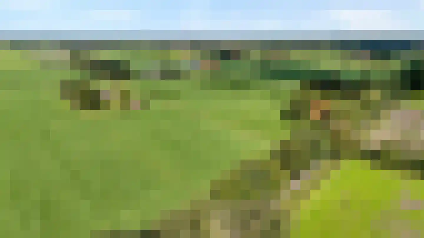 Leemweg 25 Steggerda thumbnail 8