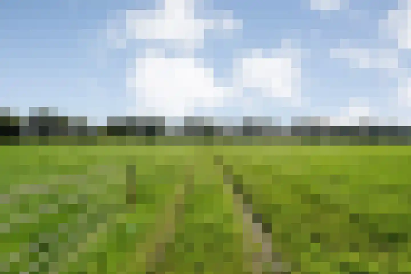 Leemweg 25 Steggerda thumbnail 9