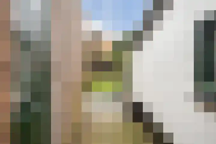 Leemweg 37 Wijchen thumbnail 28