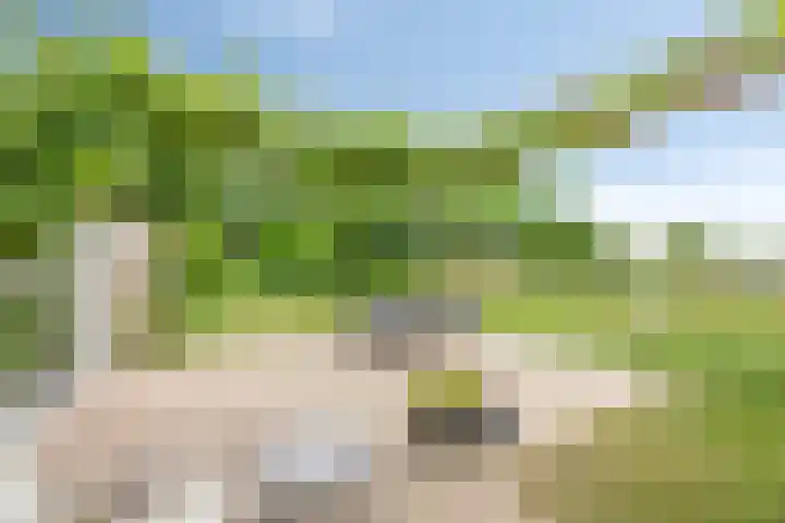 Leemweg 4 Zandhuizen thumbnail 14