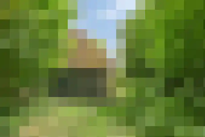 Leemweg 4 Zandhuizen thumbnail 26