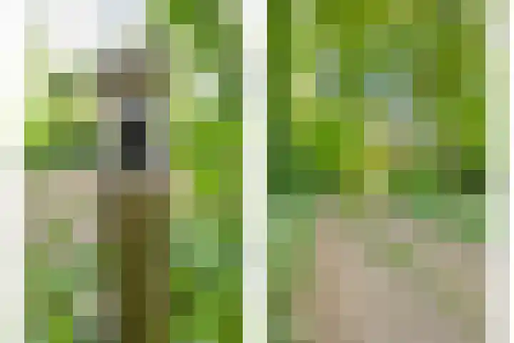 Leemweg 4 Zandhuizen thumbnail 35
