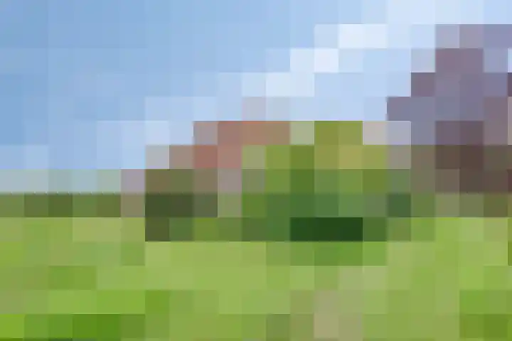 Leemweg 4 Zandhuizen thumbnail 36