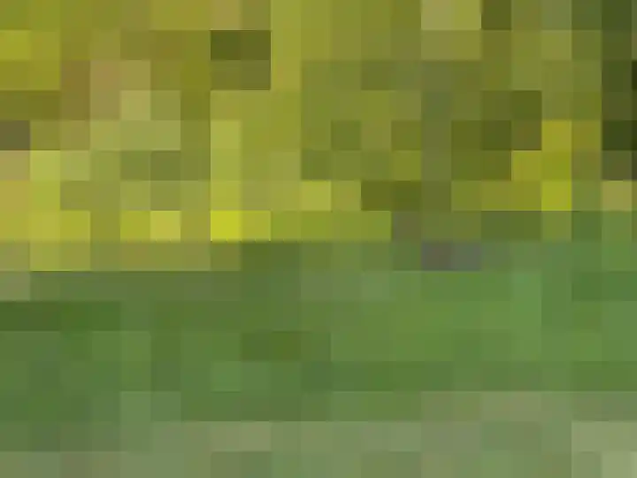 Leemweg 4 Zandhuizen thumbnail 39