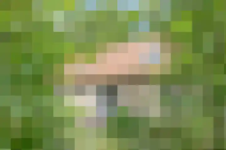 Leemweg 4 Zandhuizen thumbnail 40