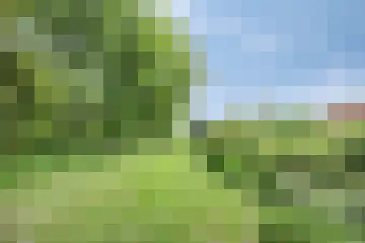 Leemweg 4 Zandhuizen thumbnail 42