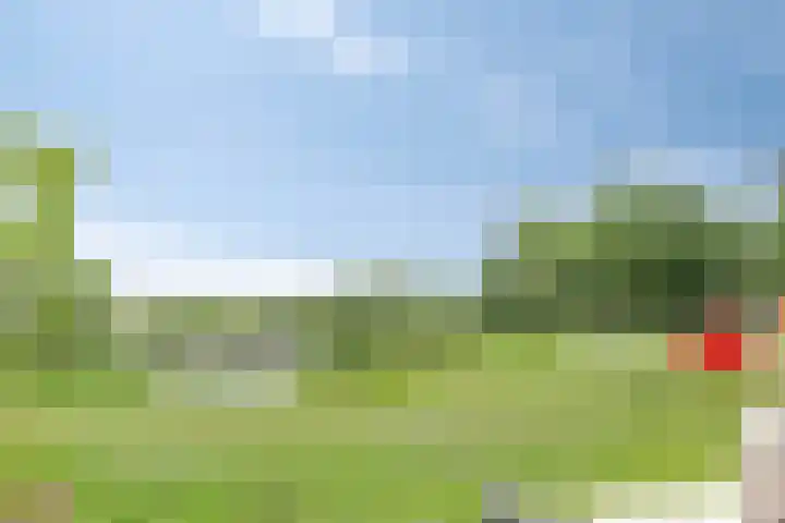 Leemweg 4 Zandhuizen thumbnail 43