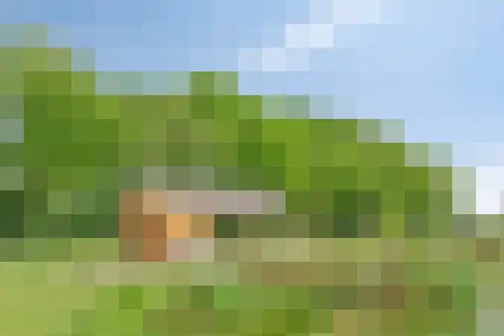 Leemweg 4 Zandhuizen thumbnail 45