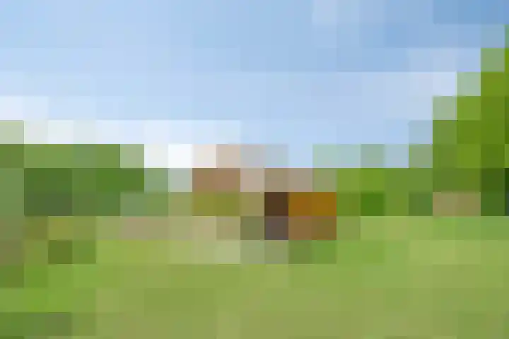 Leemweg 4 Zandhuizen thumbnail 46