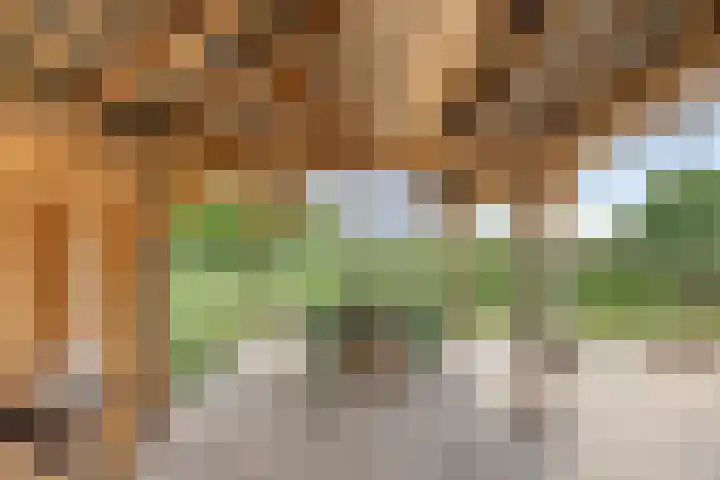 Leemweg 4 Zandhuizen thumbnail 47