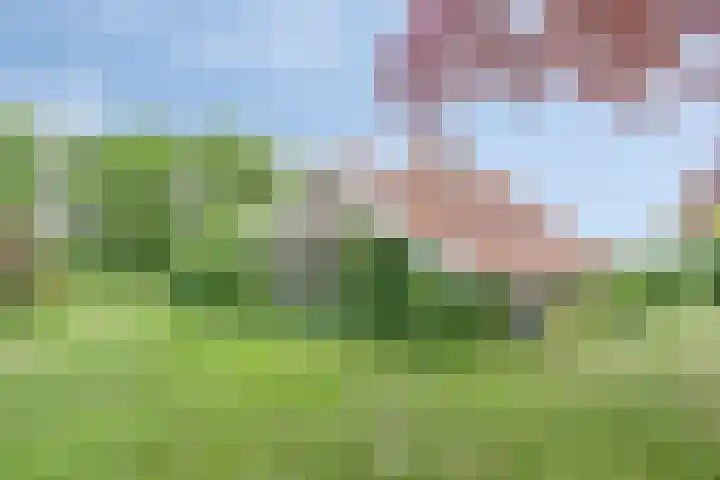 Leemweg 4 Zandhuizen thumbnail 5