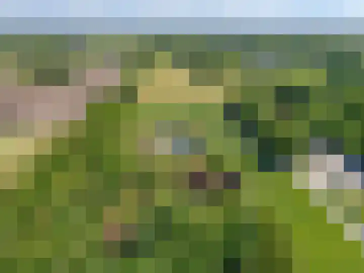 Leemweg 4 Zandhuizen thumbnail 52