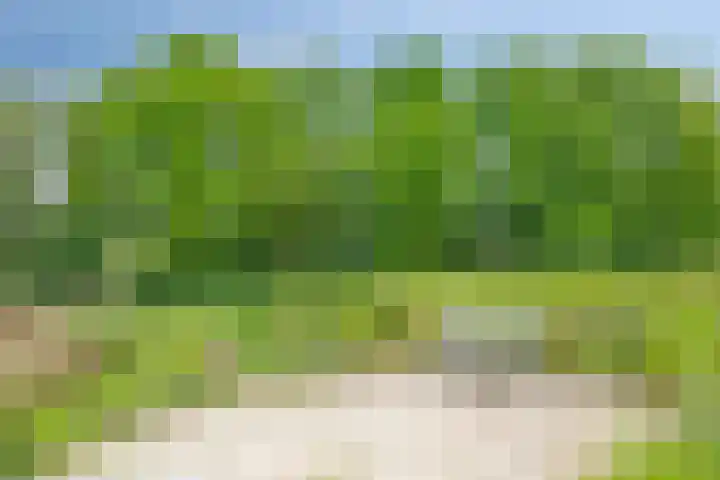 Leemweg 4 Zandhuizen thumbnail 53