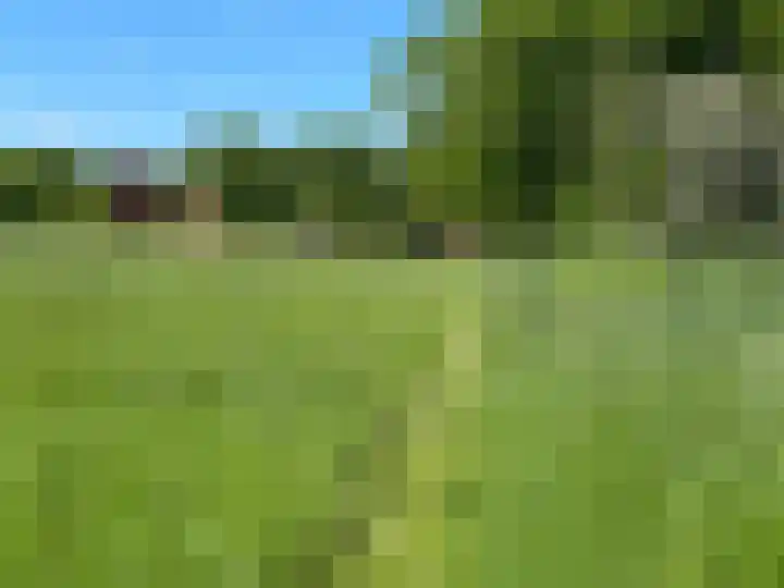 Leemweg 4 Zandhuizen thumbnail 54