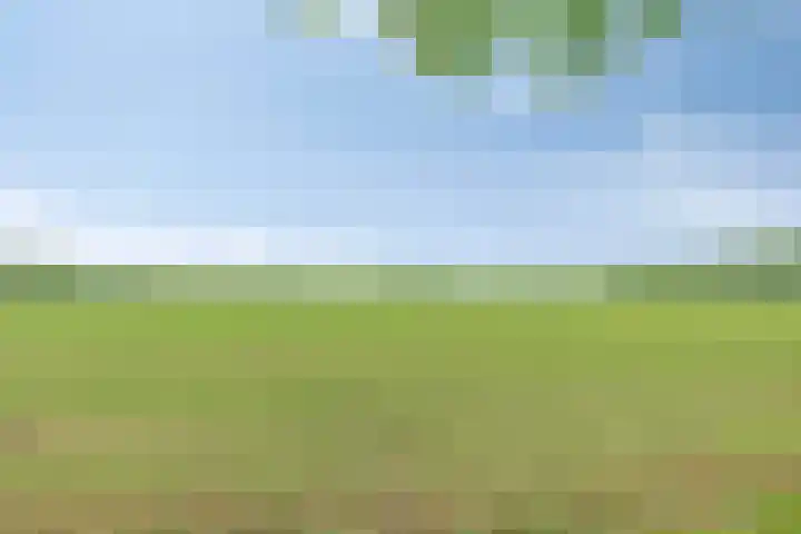 Leemweg 4 Zandhuizen thumbnail 55