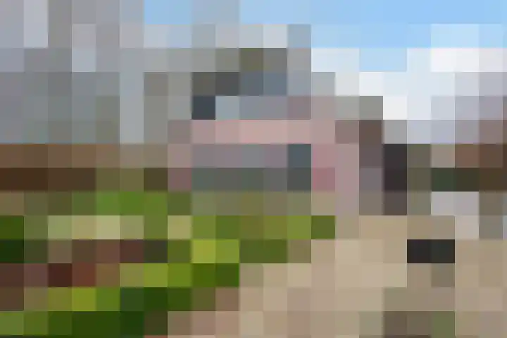 Leemweg 45 Zwartebroek thumbnail 33