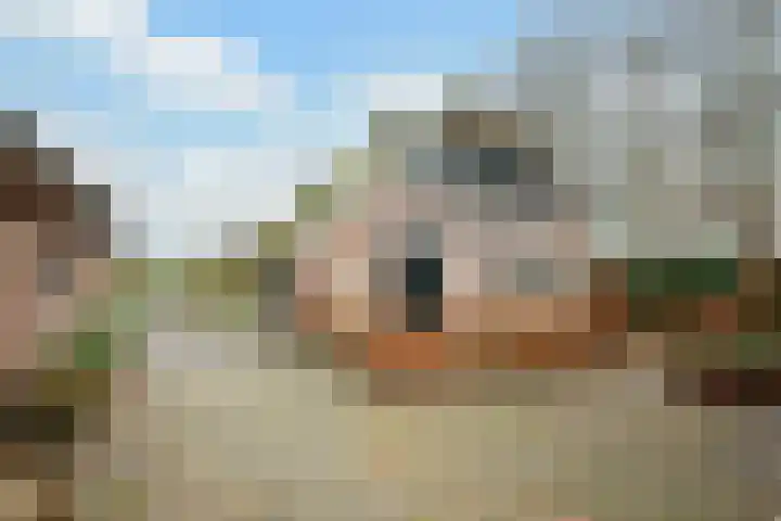 Leemweg 45 Zwartebroek thumbnail 35
