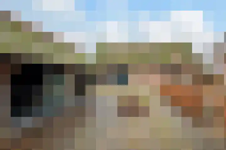 Leemweg 45 Zwartebroek thumbnail 37