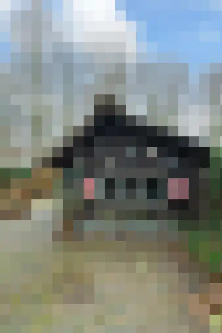 Leemweg 45 Zwartebroek thumbnail 40